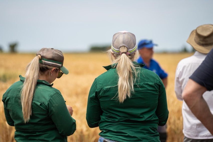 recrutare muncitori agricultură